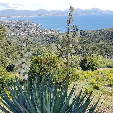 Marcelline - Belle Vue Golfe De Saint Tropez *