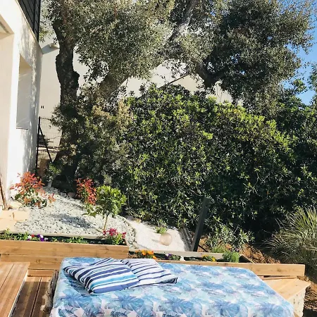 Marcelline Belle Vue Golfe De Tropez