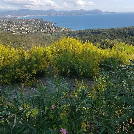 Marcelline Belle Vue Golfe De Tropez * Saint-Peire-sur-Mer