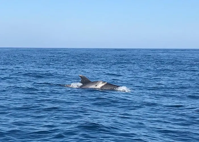 Marcelline - Belle Vue Golfe De Saint Tropez *