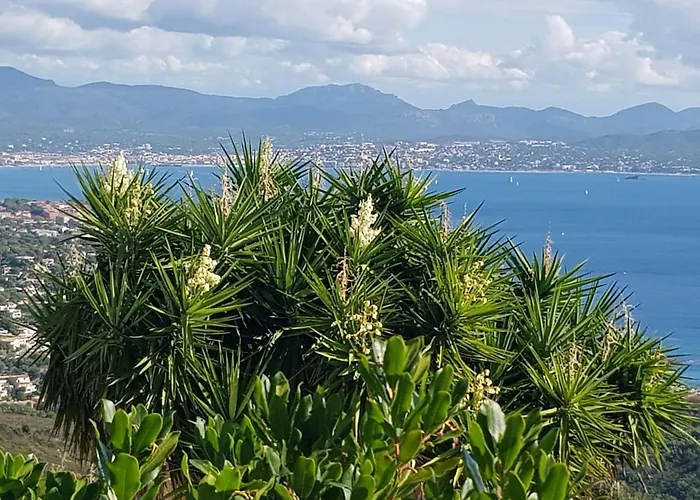 Marcelline - Belle Vue Golfe De Saint Tropez Dom wakacyjny Les Issambres