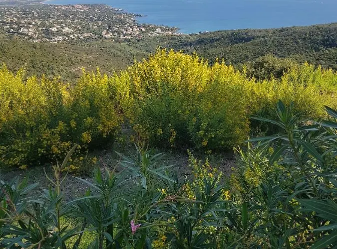 Marcelline - Belle Vue Golfe De Saint Tropez * Les Issambres