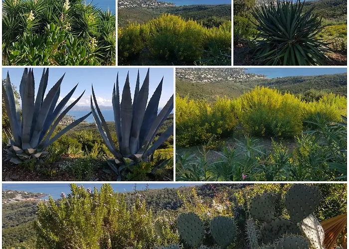 Marcelline - Belle Vue Golfe De Saint Tropez Dom wakacyjny